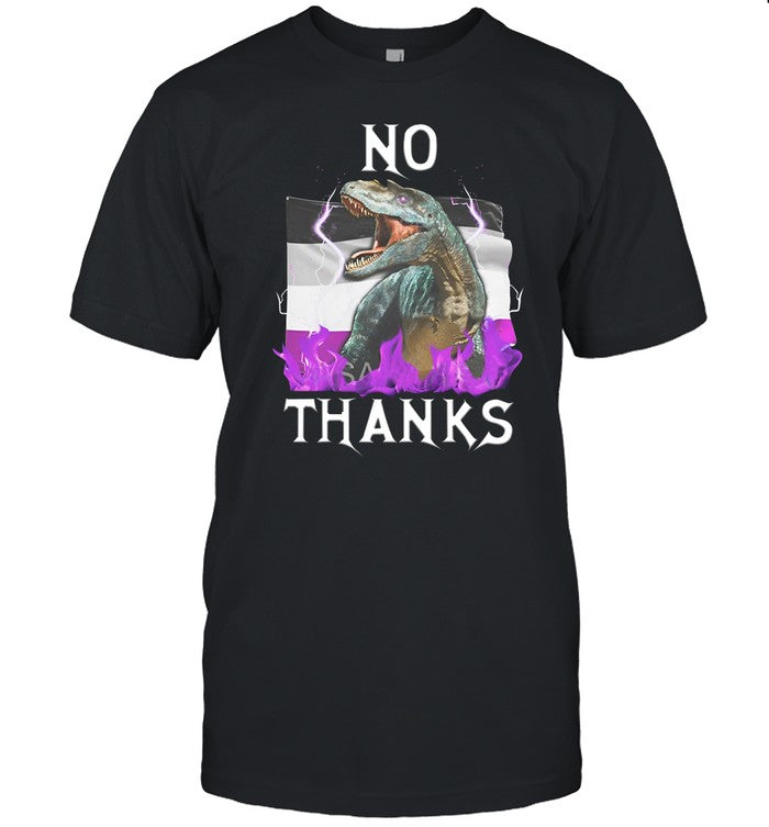 No Thanks Asexual Flag Hoodie