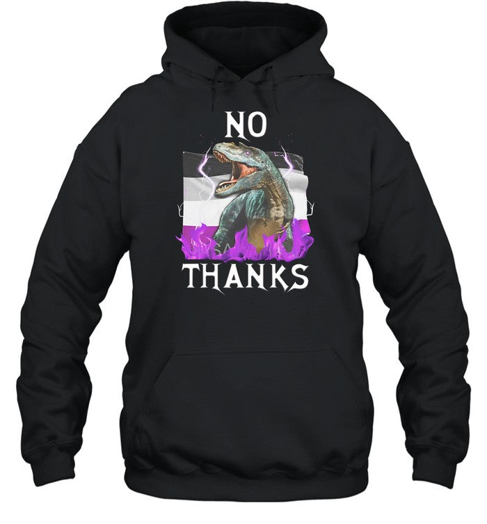 No Thanks Asexual Flag Hoodie