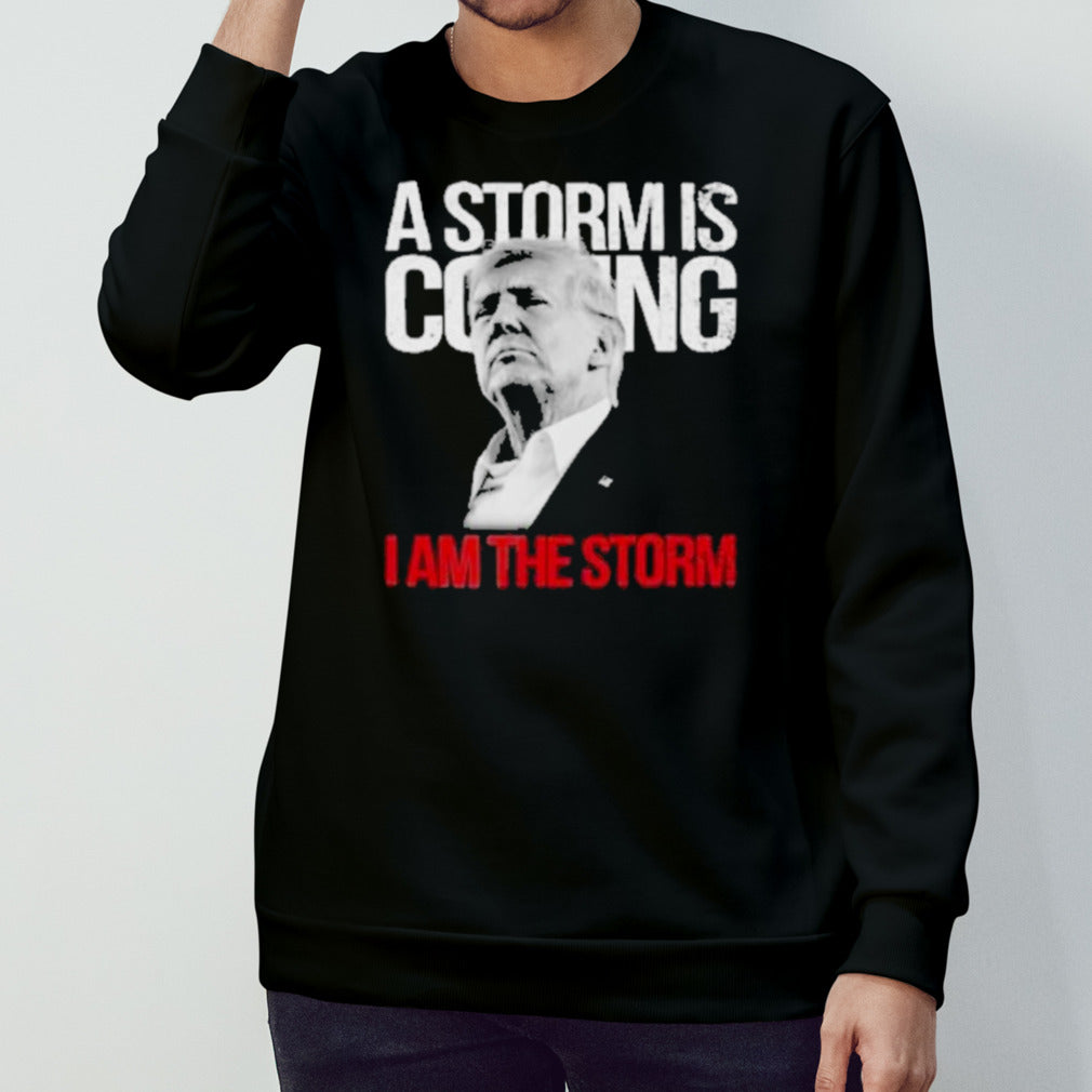 A Storm Is Coming I Am The Storm Trump 2024 T-Shirt