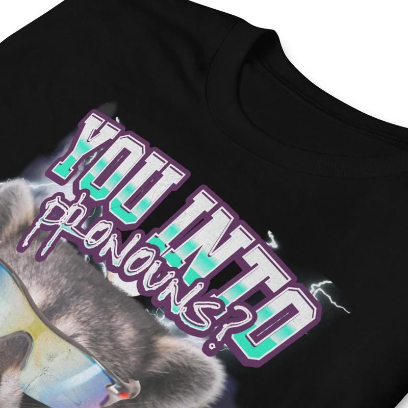Stylish Pronouns Shirt, Funny Raccoon Tee, Inappropriate Meme T-Shirt, Ironic Humor Shirt, Trending Gift for Best Friend, Gift for Him & Her funny sw