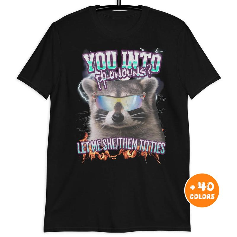 Stylish Pronouns Shirt, Funny Raccoon Tee, Inappropriate Meme T-Shirt, Ironic Humor Shirt, Trending Gift for Best Friend, Gift for Him & Her funny sw
