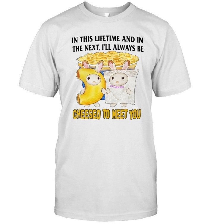 In This Lifetime And In The Next, I'll Always Be Cheesed To Meet You Tee
