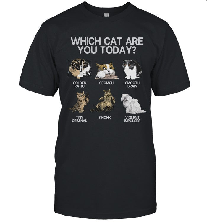 T Shirts Which Cat Are You Today 2024