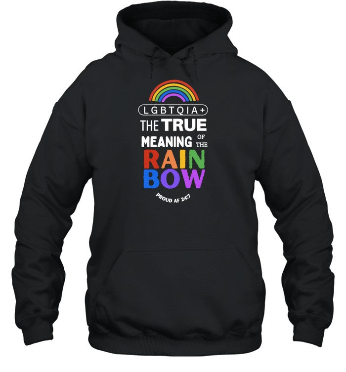 Lgbtqia+ The True Meaning Of The Rain Bow Hoodie