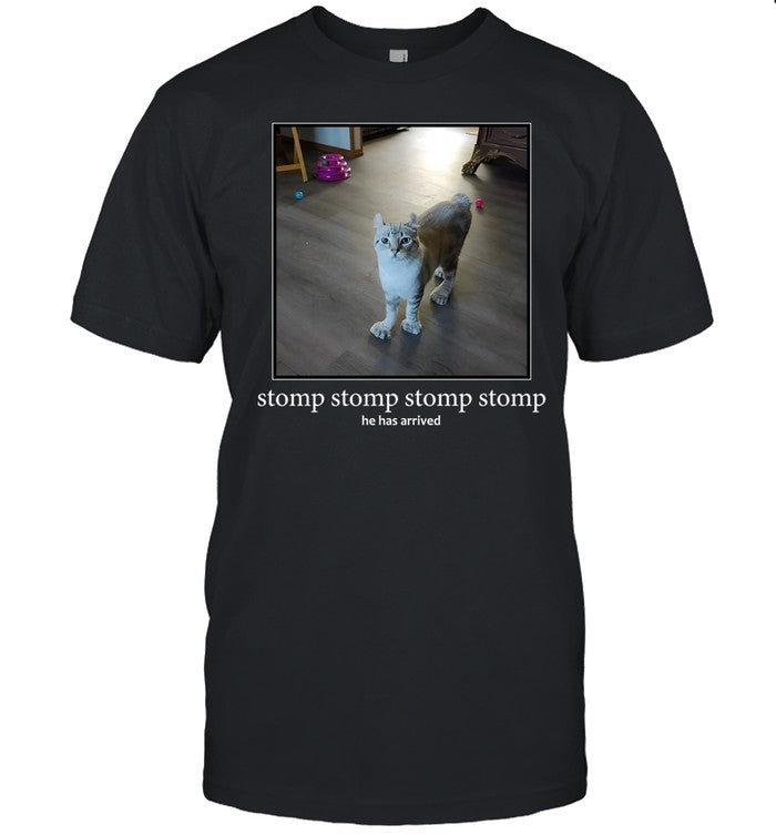 Punch Cat Stomp Stomp Stomp Stomp He Has Arrived Shirt