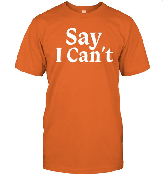 Dream On 3 Say I Can't Shirt
