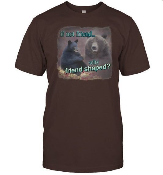 Snazzy Seagull If Not Friend Why Friend Shaped Bear Shirt