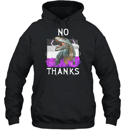 No Thanks Asexual Flag Hoodie