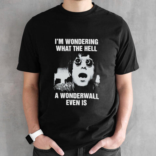 Isâ€™m wondering what the hell a wonderwall even is shirts
