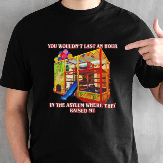 You wouldnâ€™t last an hour in the asylum where they raised me shirt