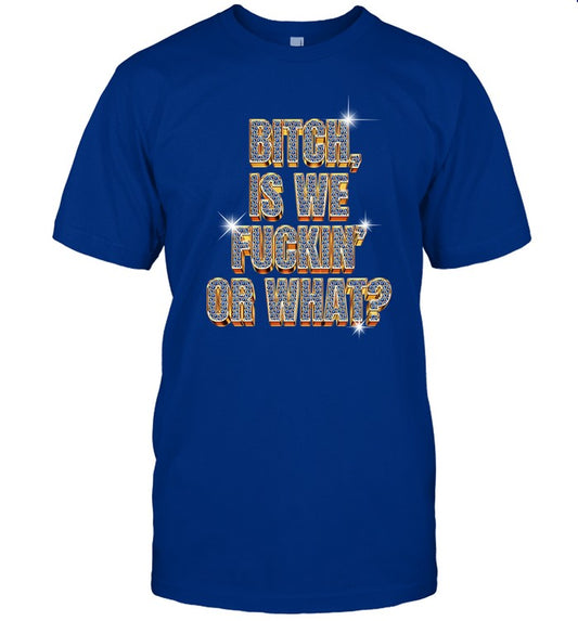 Bitch Is We Fuckin' Or What Shirt