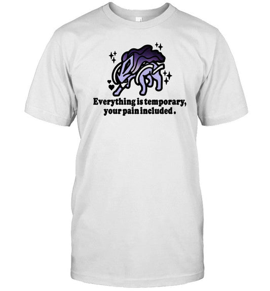 Shirt Everything Is Temporary Your Pain Included