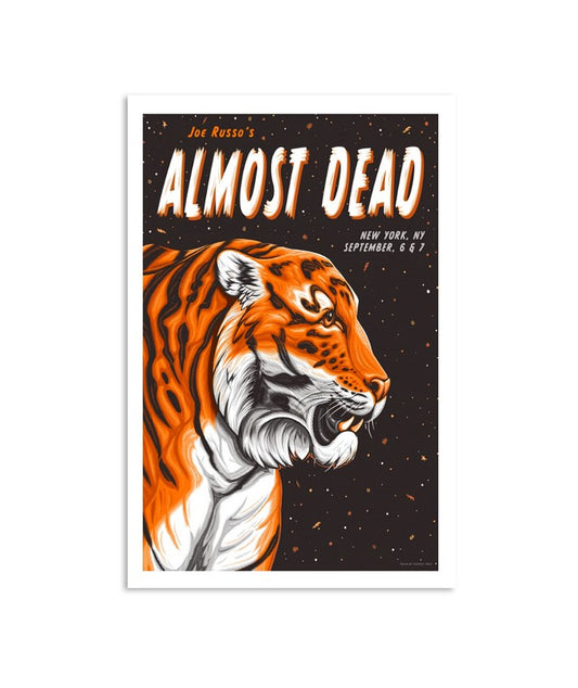joe russo's almost dead sept 6-7, 2024 in new york, ny tour poster