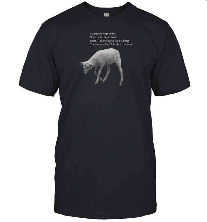 I Started Talking To The Stars In The Sky Instead It Hurts To Become T-Shirt