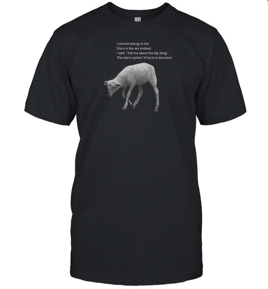 I Started Talking To The Stars In The Sky Instead It Hurts To Become T-Shirt