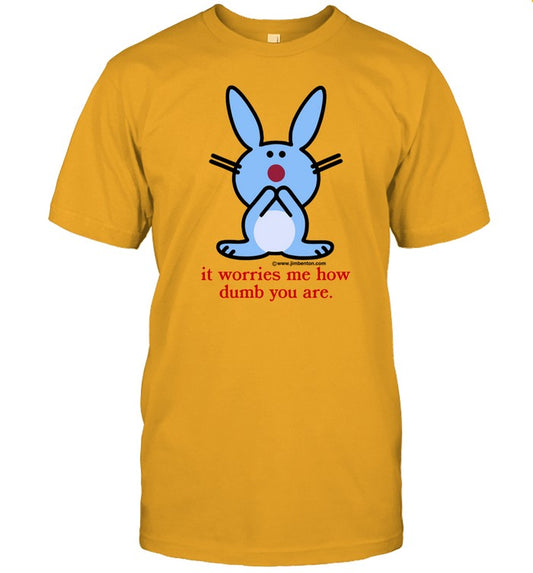 Shirt It Worries Me How Dumb You Are