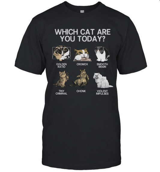 T Shirts Which Cat Are You Today 2024