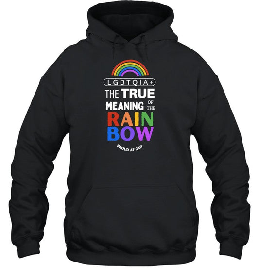 Lgbtqia+ The True Meaning Of The Rain Bow Hoodie