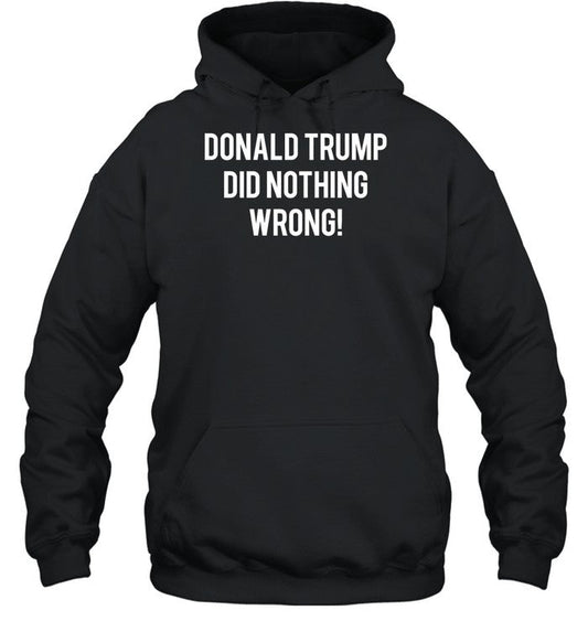 Donald Trump Did Nothing Wrong Hoodie